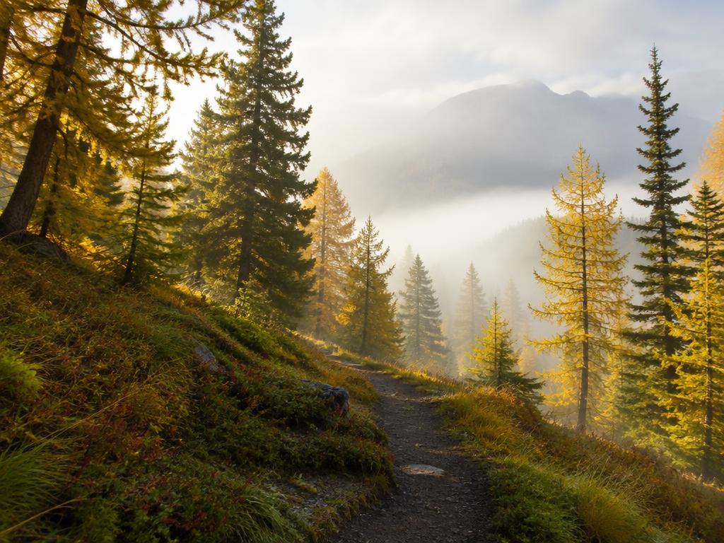 Larch Valley Loop