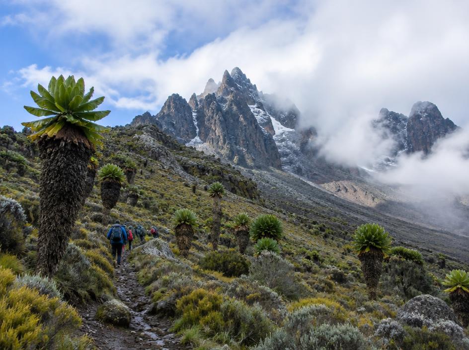 Mount Kenya – Sirimon Route